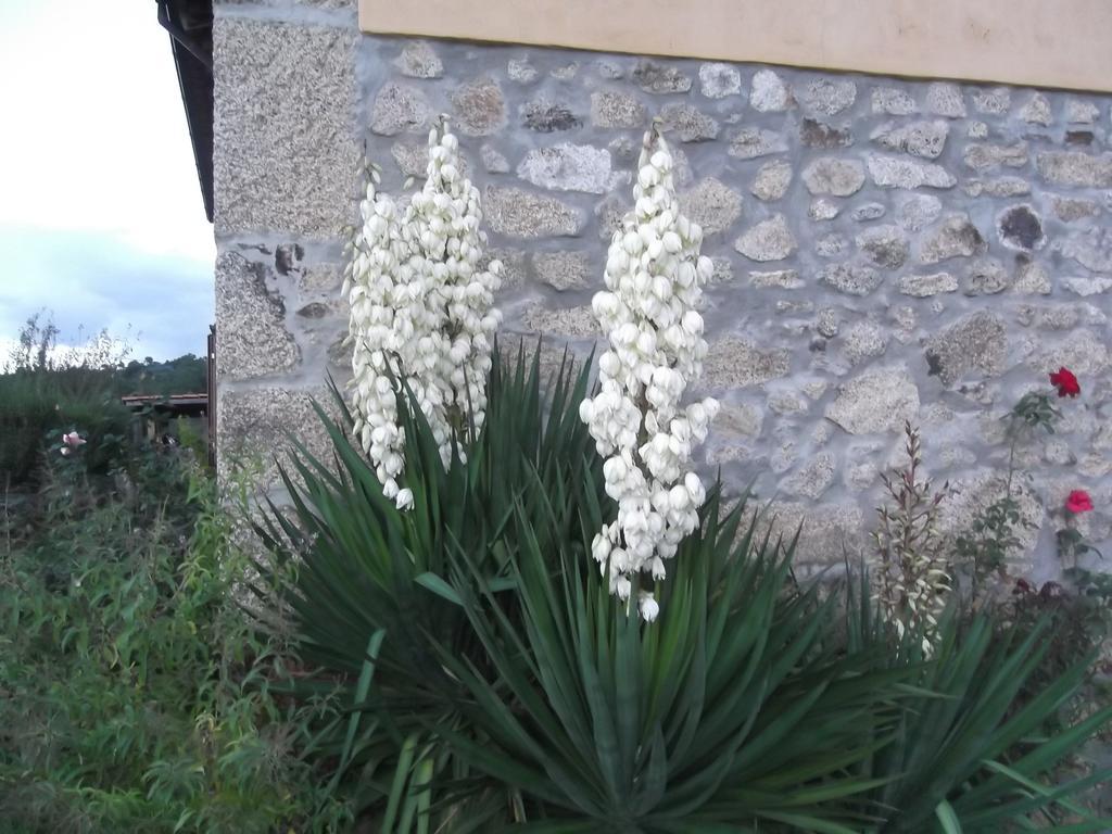 Monte Serrano Casa Batucela חדר תמונה